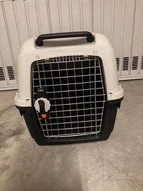 TRASPORTINO CANI