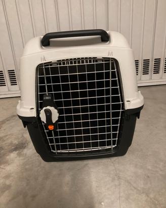 TRASPORTINO CANI
