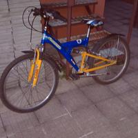 bici currico