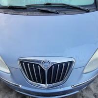 LANCIA MUSA 2008 - COFANO ANTERIORE