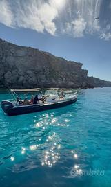 Gommone tempest 900