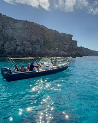 Gommone tempest 900