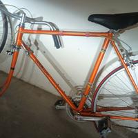 Bicicletta COLNAGO sport VINTAGE