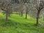 Immagine 12