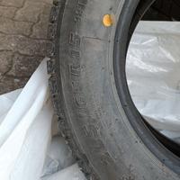 Gomme invernali scudo