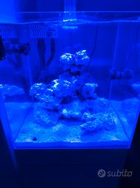 Acquario Marino Aqpet 50x50
