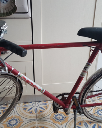 Bicicletta marzano