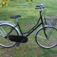 BICI DA DONNA HOLLAND