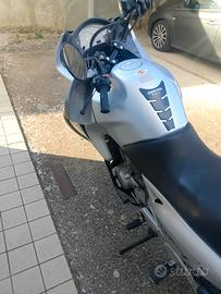 Honda transalp