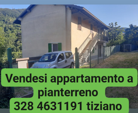 Appartamento a pianterreno ligonchio ventasso