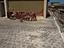 Immagine 16