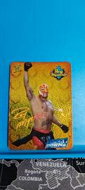 carta Rey Mysterio 056/132
