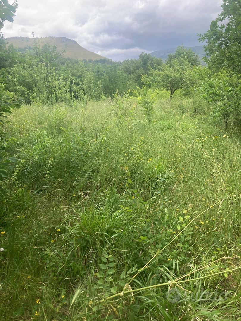 Terreno con rudere - Vista 4