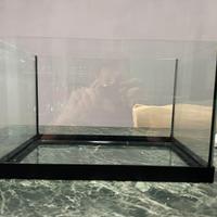 Acquario 30 litri lordi