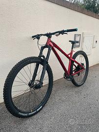 Dartmoor Primal 29