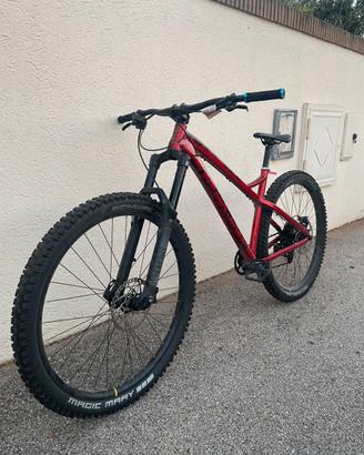 Dartmoor Primal 29
