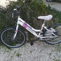 bici mountain bike 24