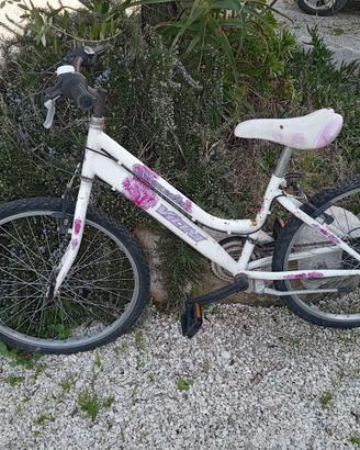 bici mountain bike 24