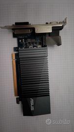 Scheda Video Grafica GT 710 1GD5