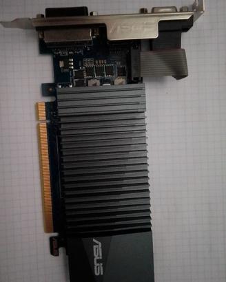 Scheda Video Grafica GT 710 1GD5