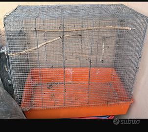 Gabbia usata