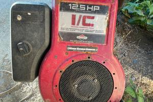 Motore briggs e stratton trattorino tagliaerba