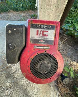 Motore briggs e stratton trattorino tagliaerba