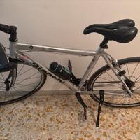 Bianchi camaleonte