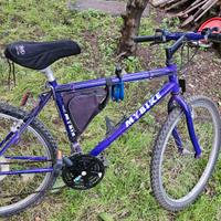 Mountain Bike Ciclo Guaporè "My Bike" - Vintage 26