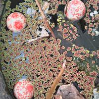 ukidama - 3 palline galleggianti per laghetto 