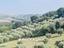 Immagine 14