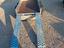 Immagine 13