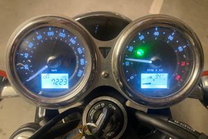 Triumph Bonneville T100