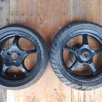 cerchioni Areox