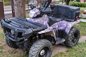 Quad Polaris 700