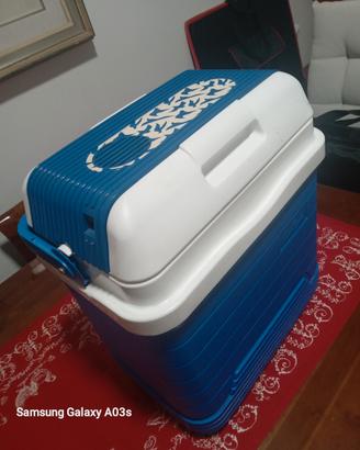 frigo per auto