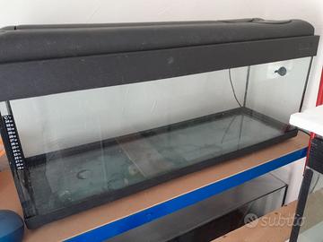 Acquario e vasche diverse misure e dimensioni