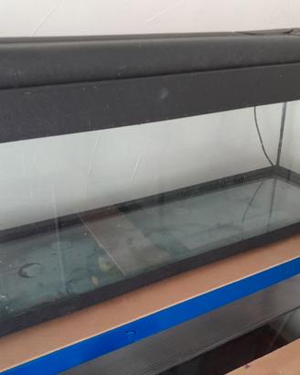 Acquario e vasche diverse misure e dimensioni