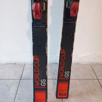 sci nordica doberman