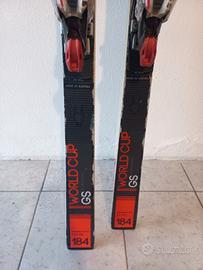 sci nordica doberman