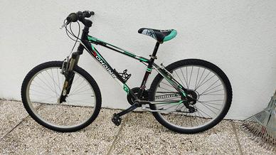 Bicicletta da Ragazzo 