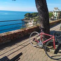 Bici da corsa vintage KLEIN Q Pro