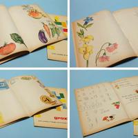 Album disegno CORNICETTE GRAZIA scuola elementare 