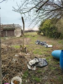 5 Pali in Cemento per Recinzione / Orto