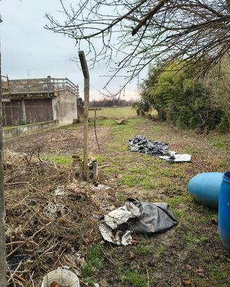 5 Pali in Cemento per Recinzione / Orto