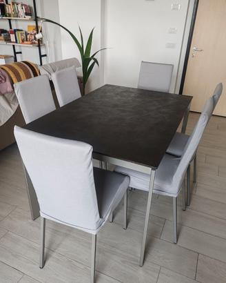 Sedie per soggiorno Calligaris