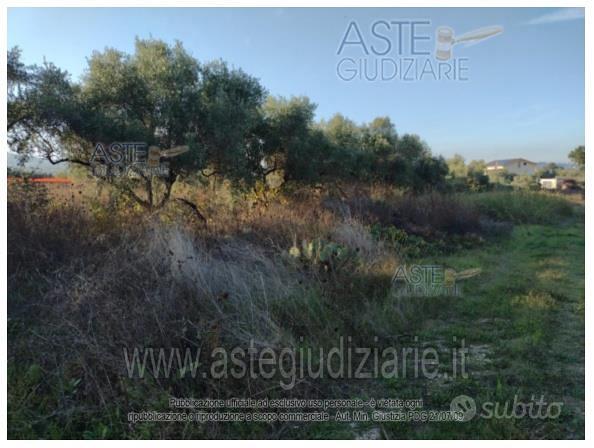 Terreno Agricolo Vasto [A4359704] - Vista 4