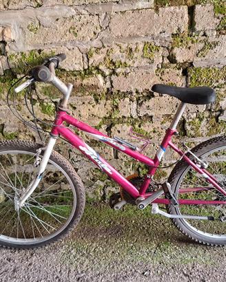 bicicletta mountain bike ruote da 24