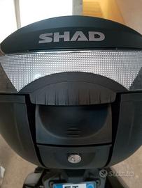 Bauletto  shad 33