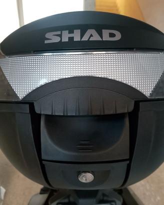Bauletto  shad 33